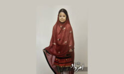 خاطره میترا سیستانی (از خانه تا مجلس)